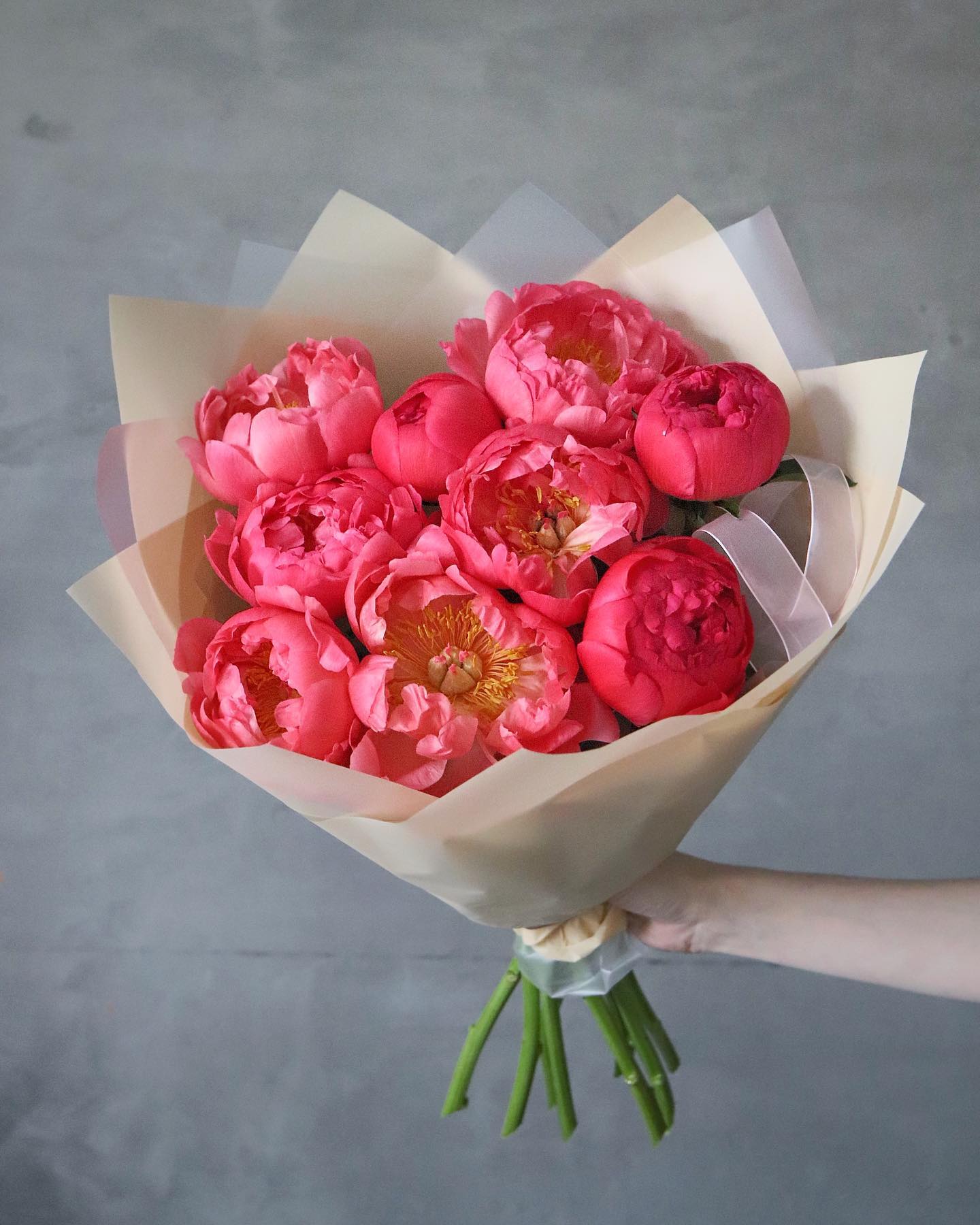 Coral Charm Peonies