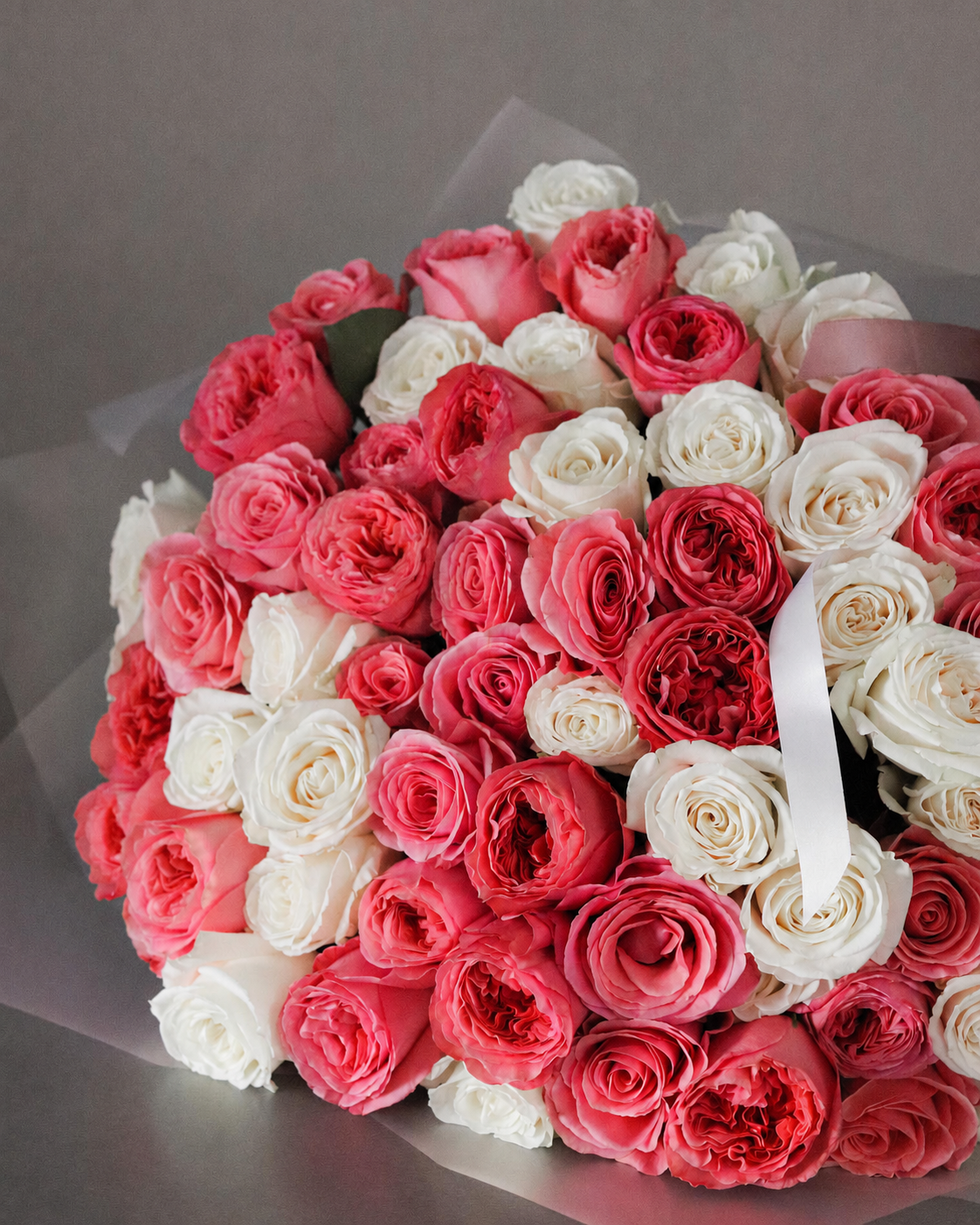 50 Coral and White Roses