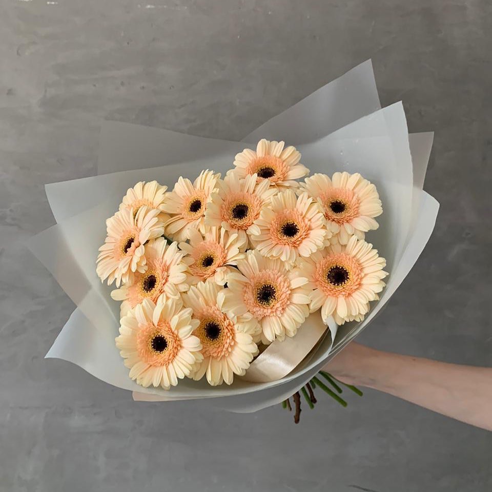Gerberas