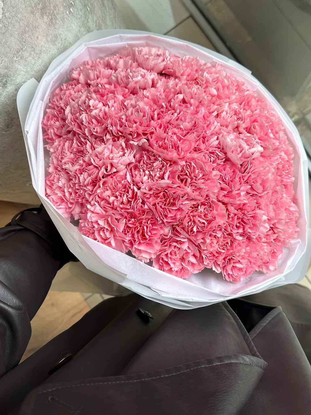 Carnations