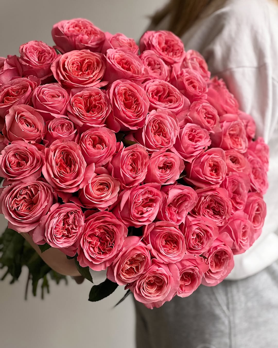 50 Pink Garden Roses