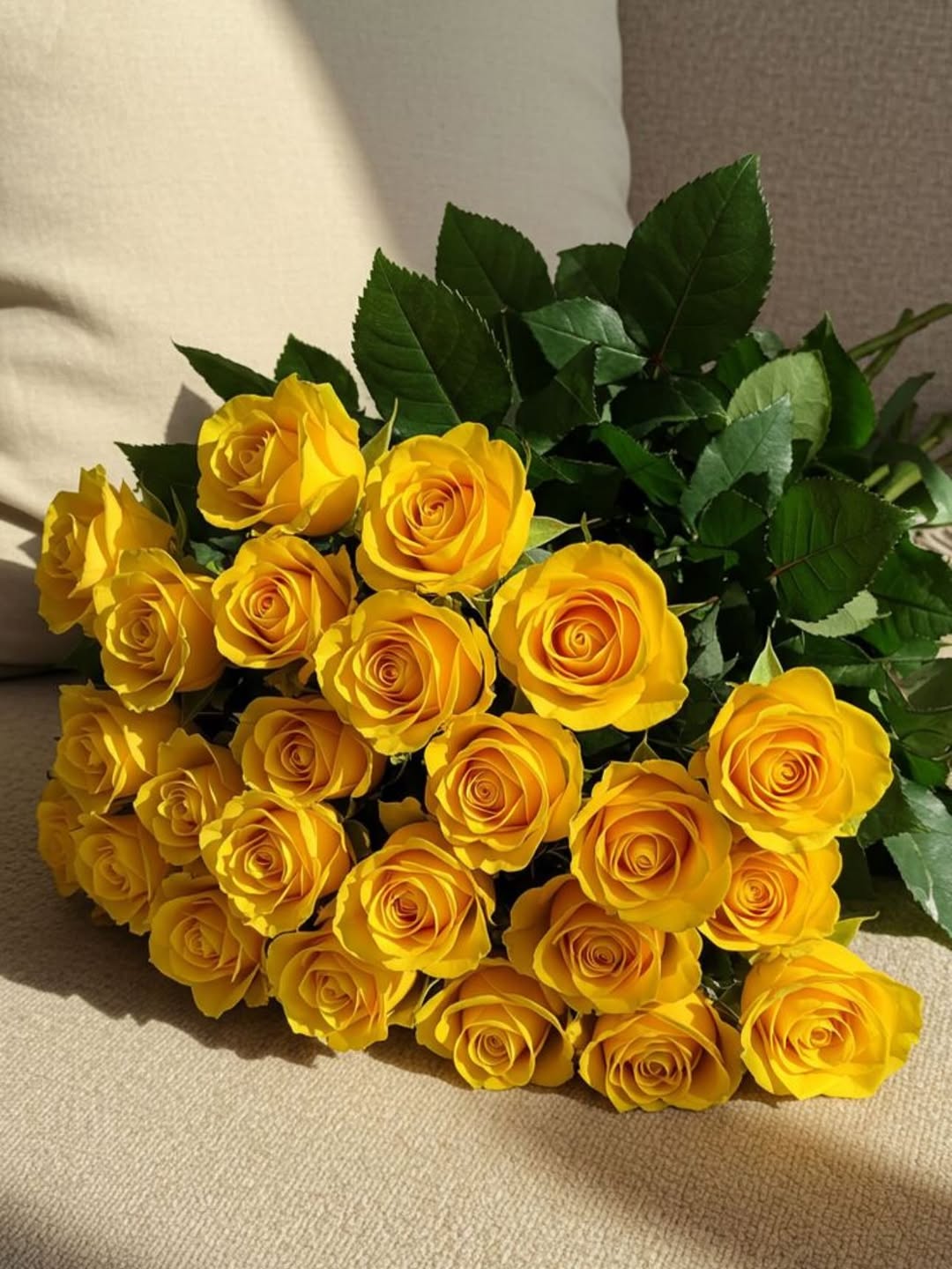Yellow Roses
