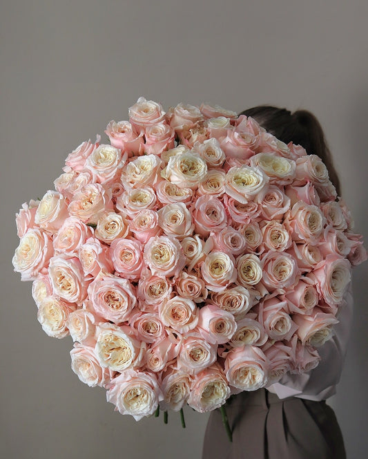 100 Peach Garden Roses