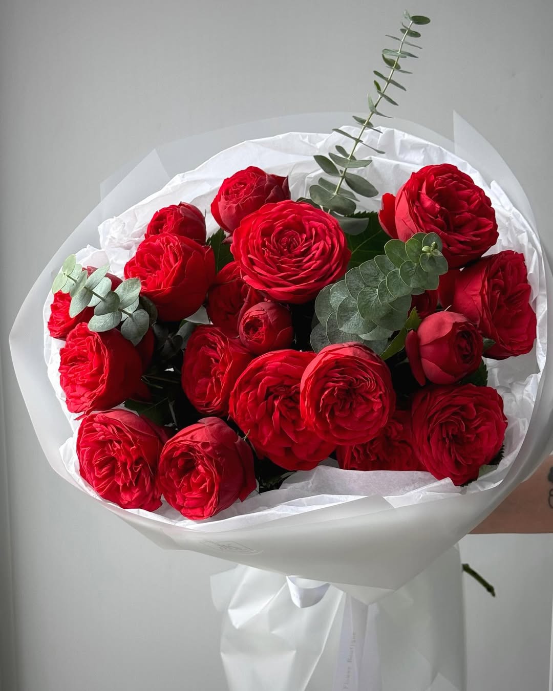 Red Piano Garden Roses