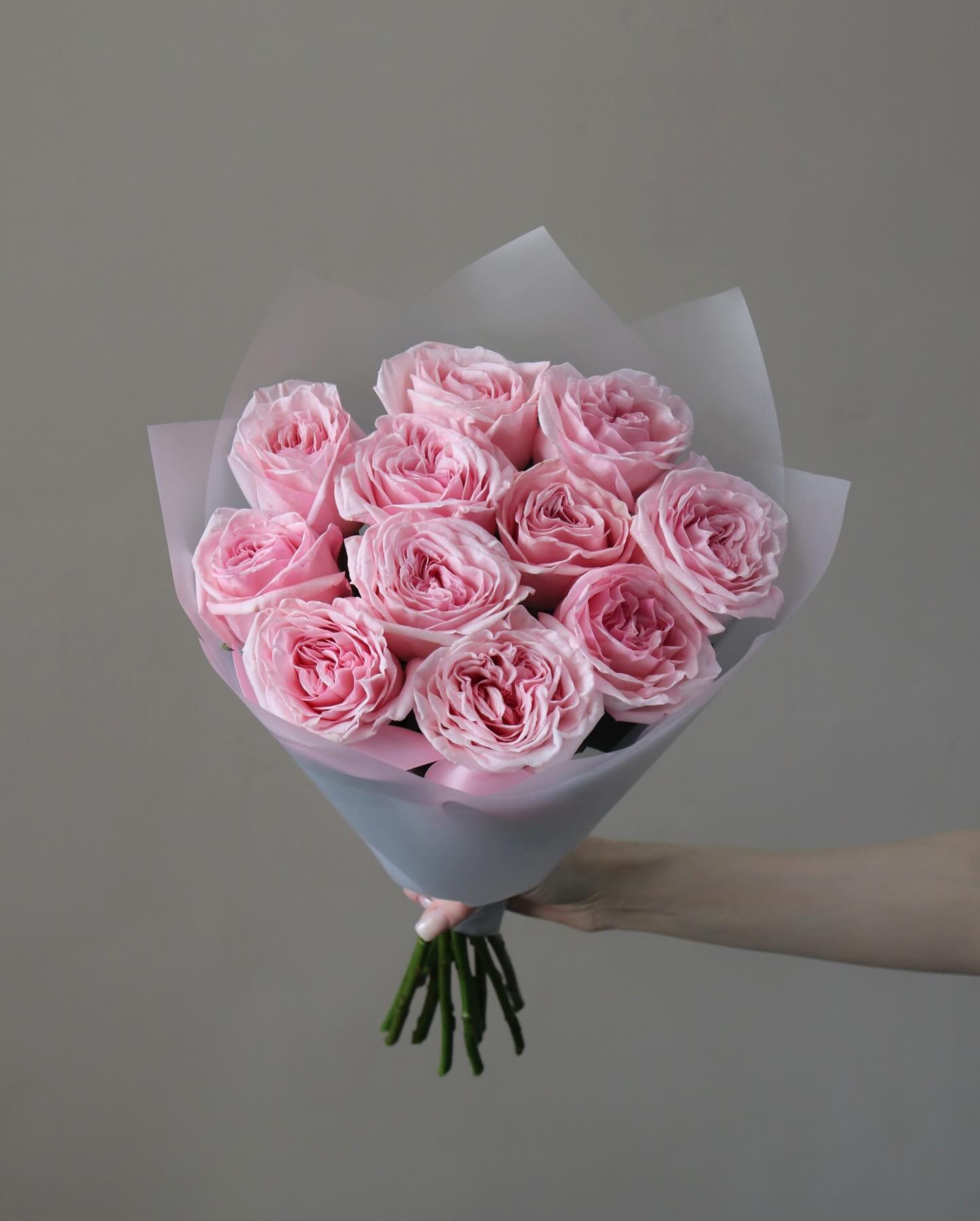 Pink Roses