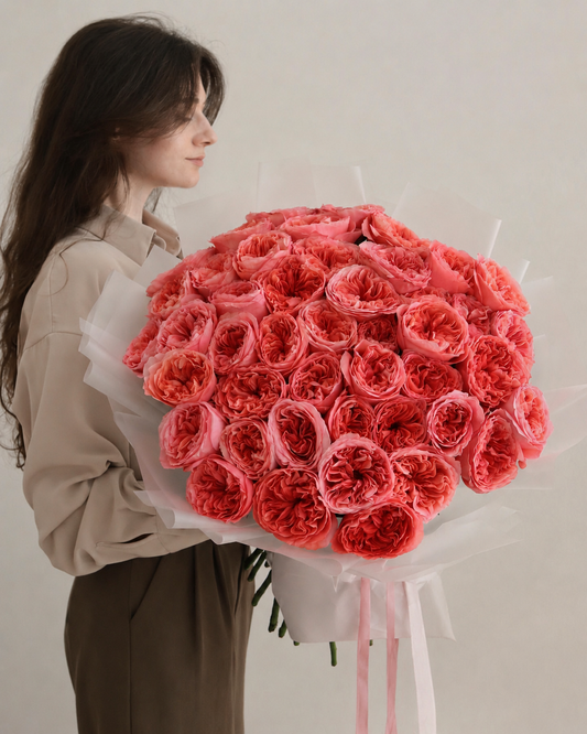 50 Pink Garden Roses