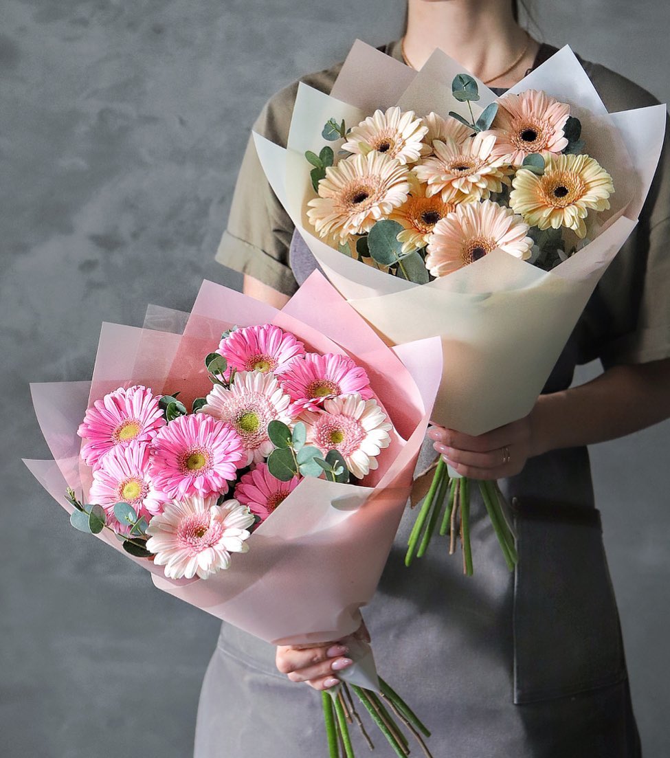 Gerberas