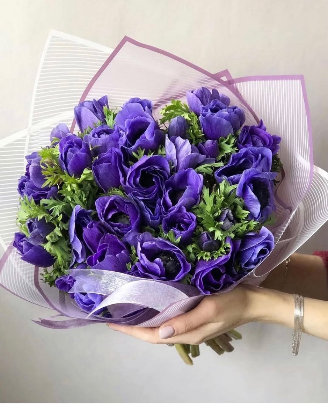 Anemones