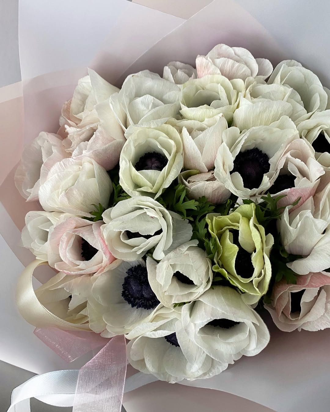 Anemones