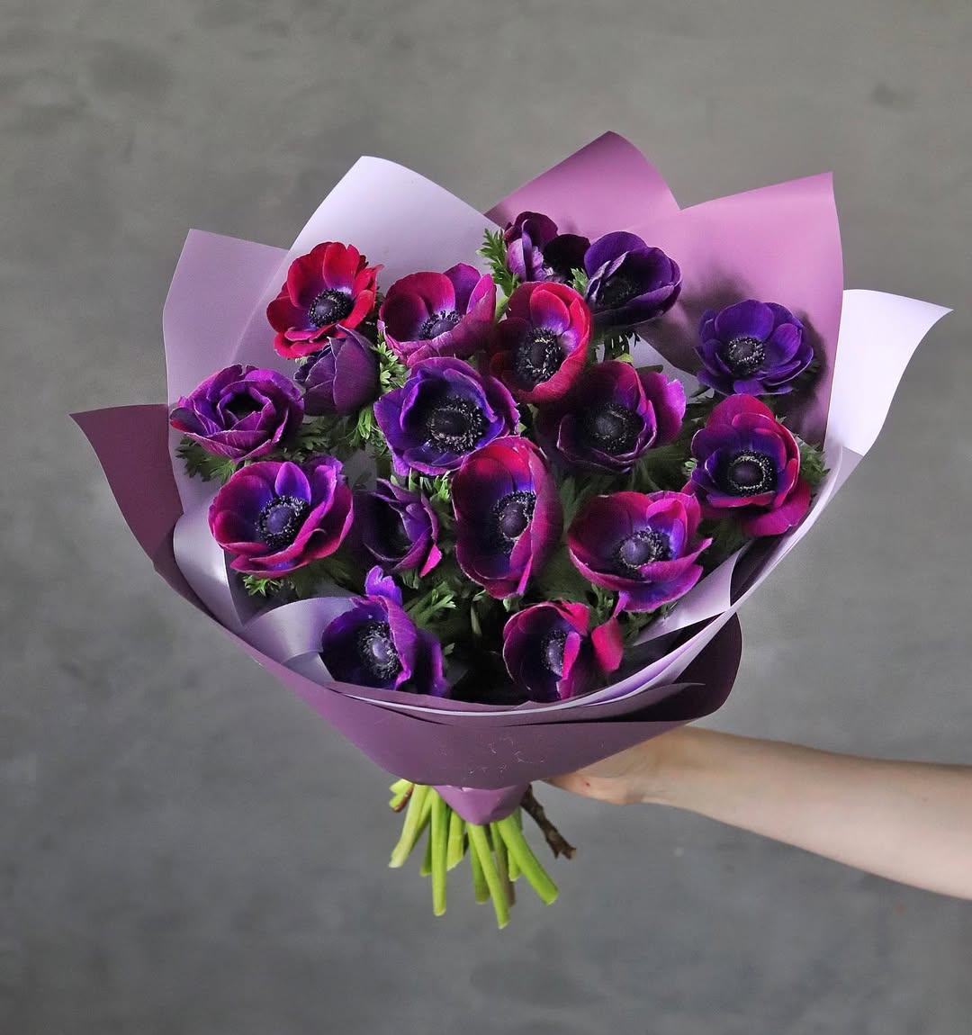 Anemones