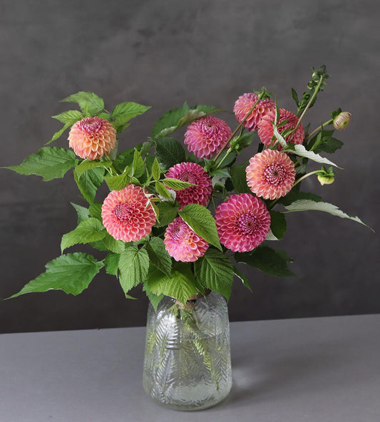 Apricot & Vase