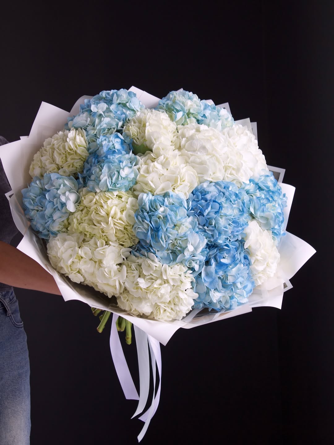 Hydrangeas