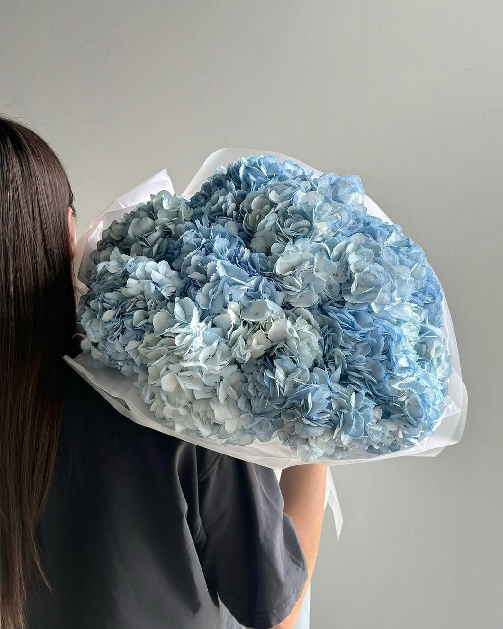 Hydrangeas