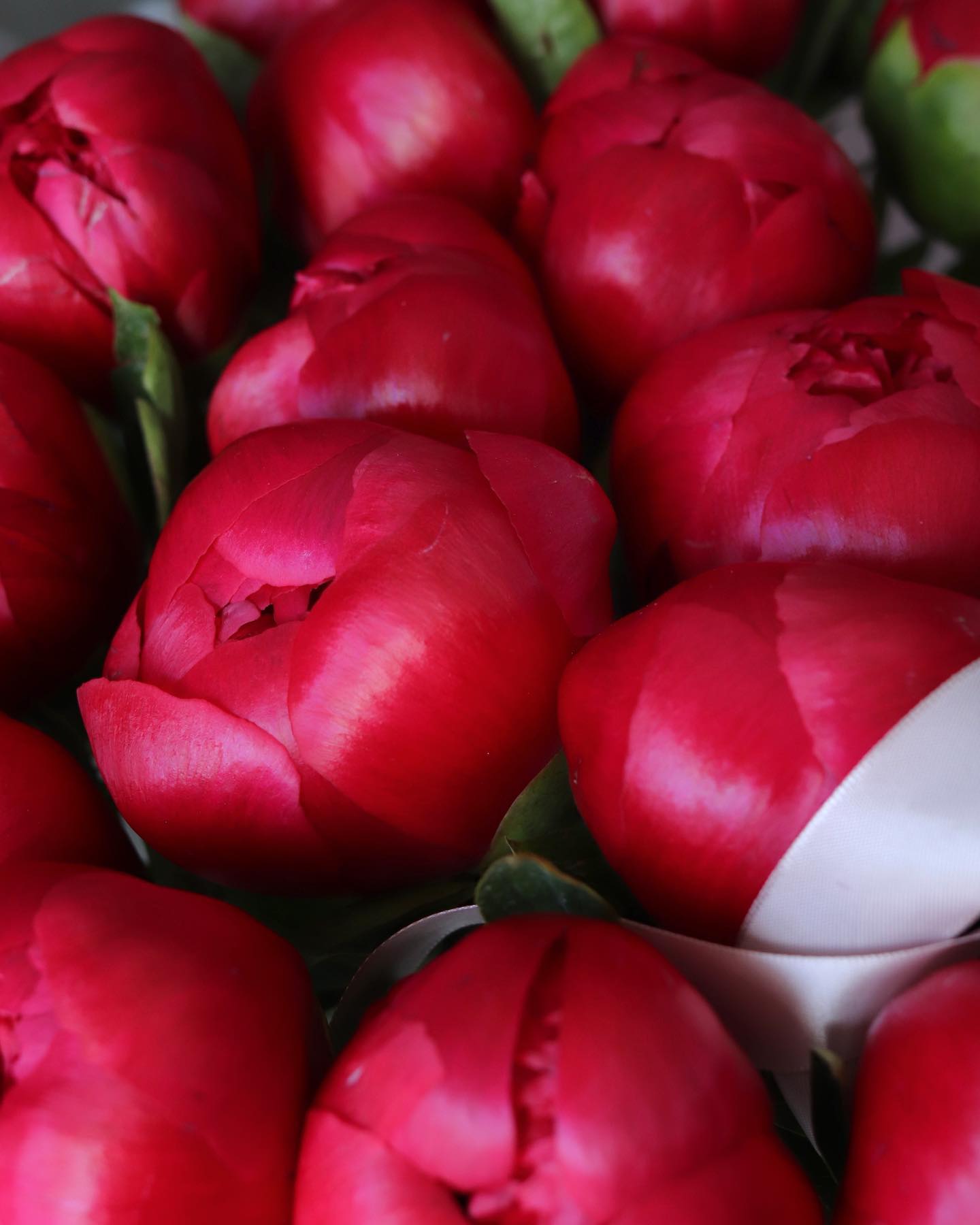 Burgundy Peony Bouquet