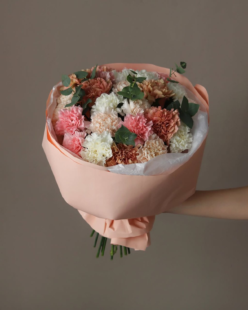 Carnations