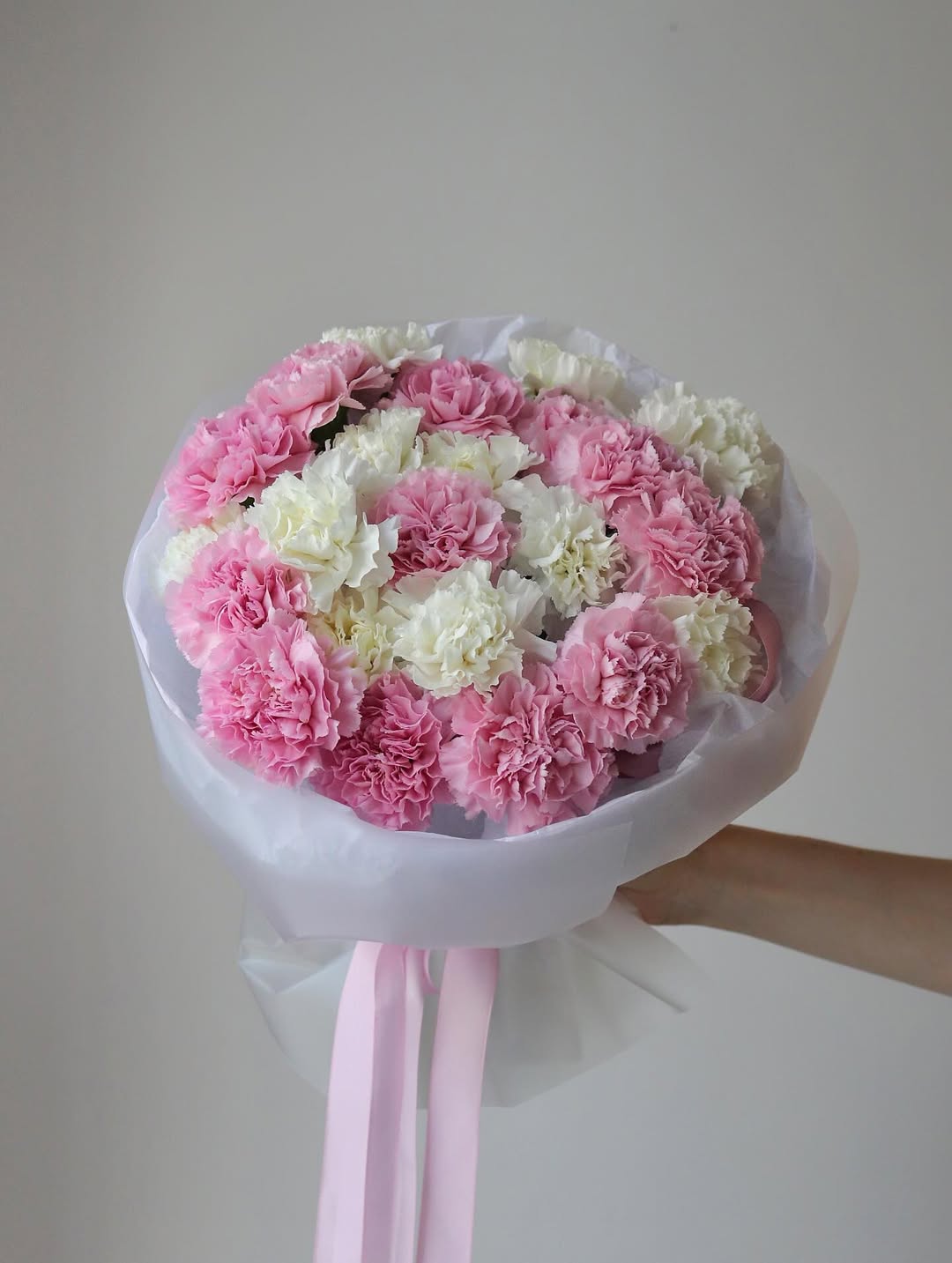 Carnations