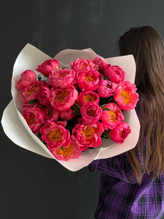 Coral Charm Peonies