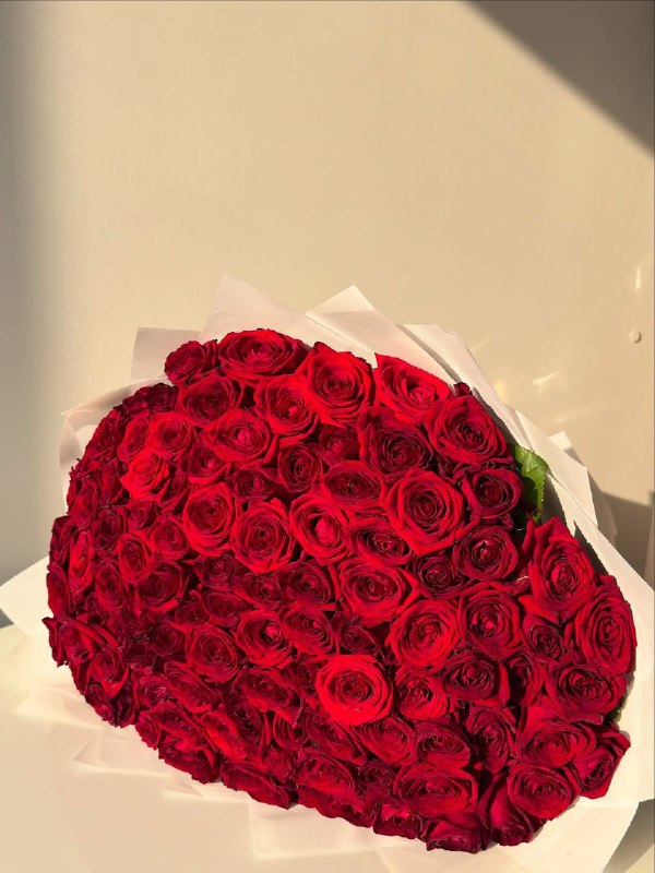 100 Red Roses