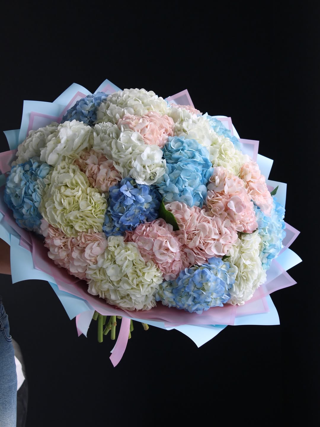 Hydrangeas
