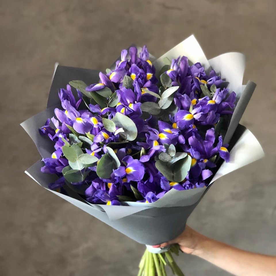 Purple Irises