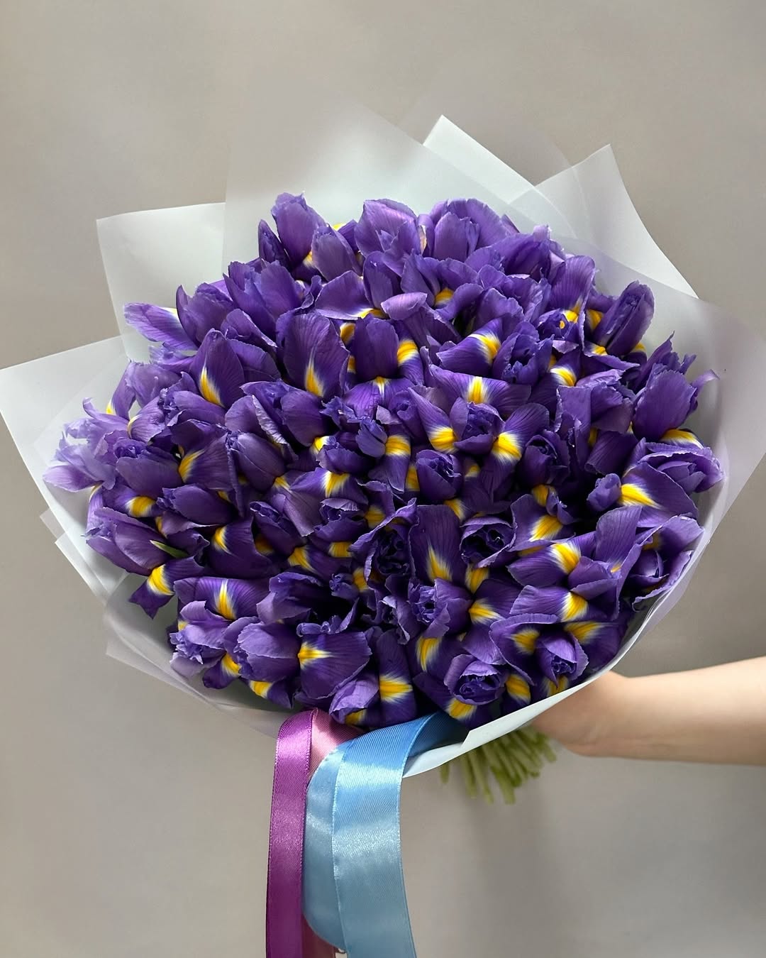 Purple Irises