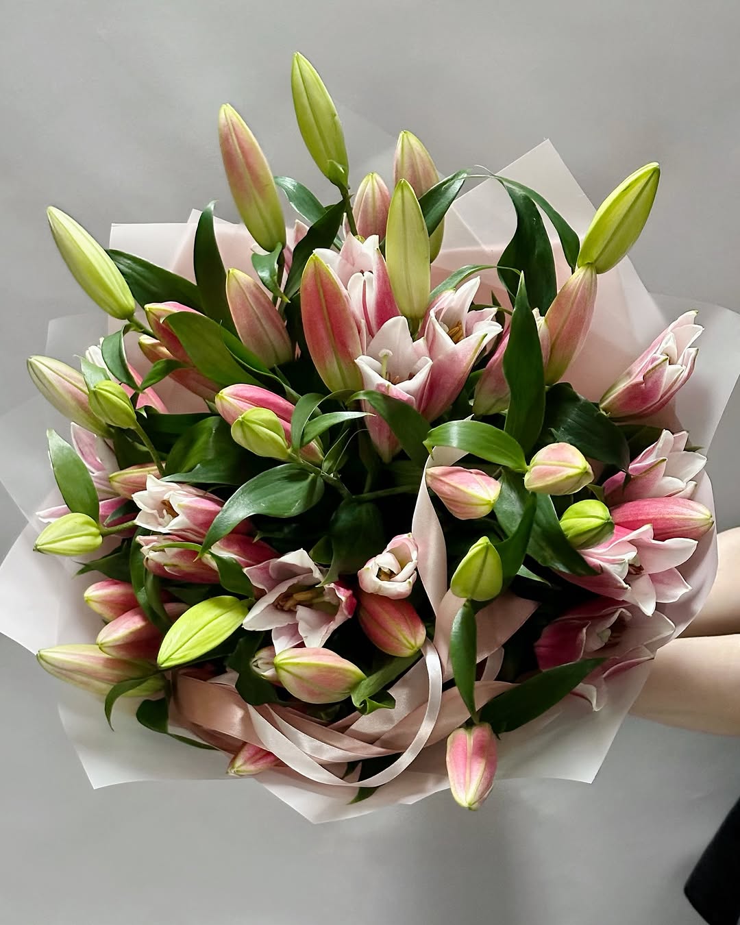 Stargazer lilies