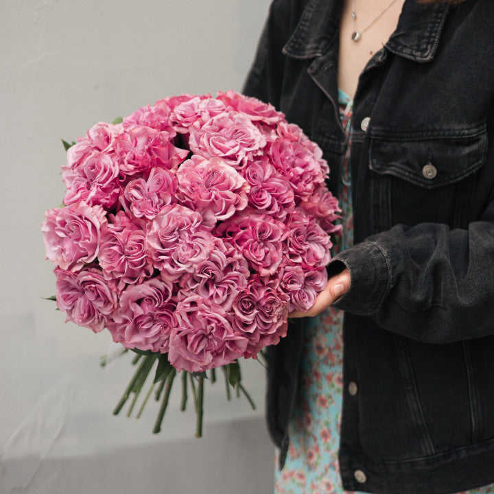 Peony Roses