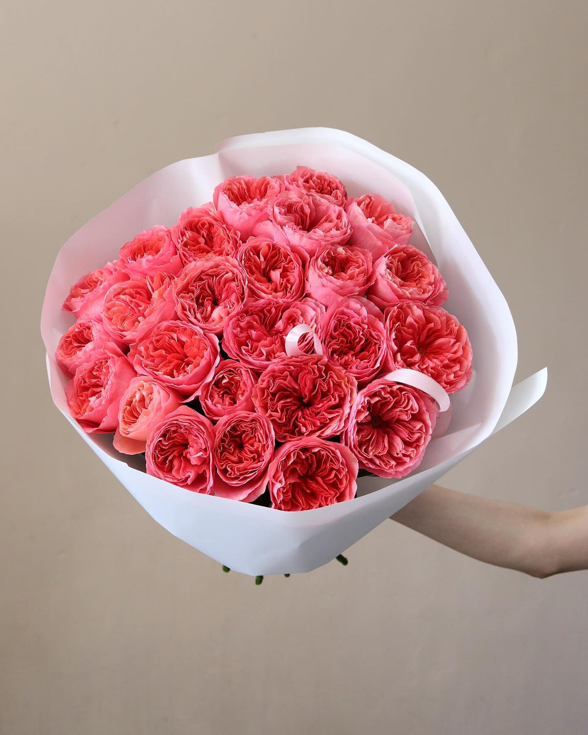 Pink Garden Roses
