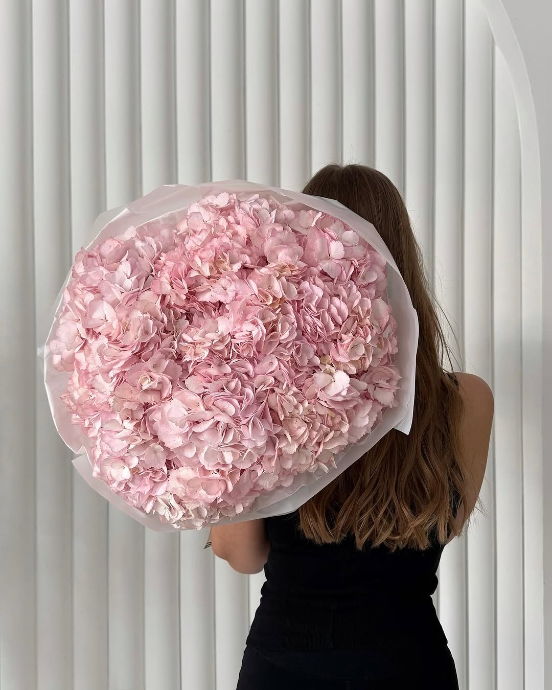 Hydrangeas