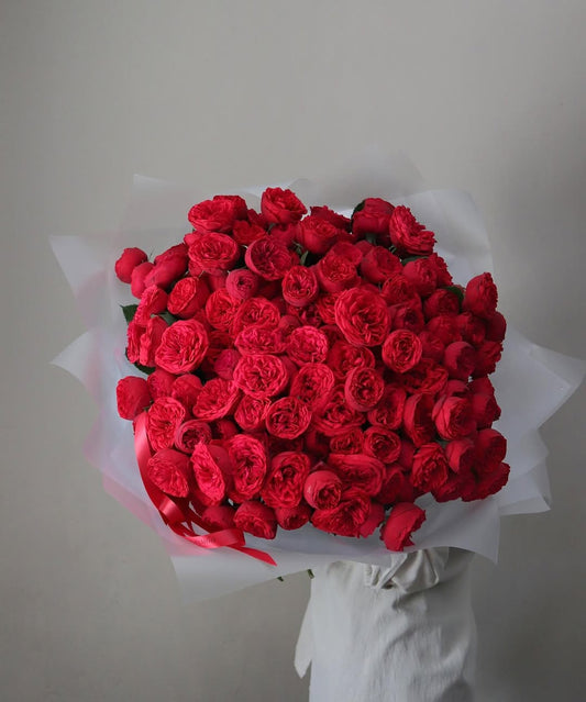 50 Red Piano Garden Roses