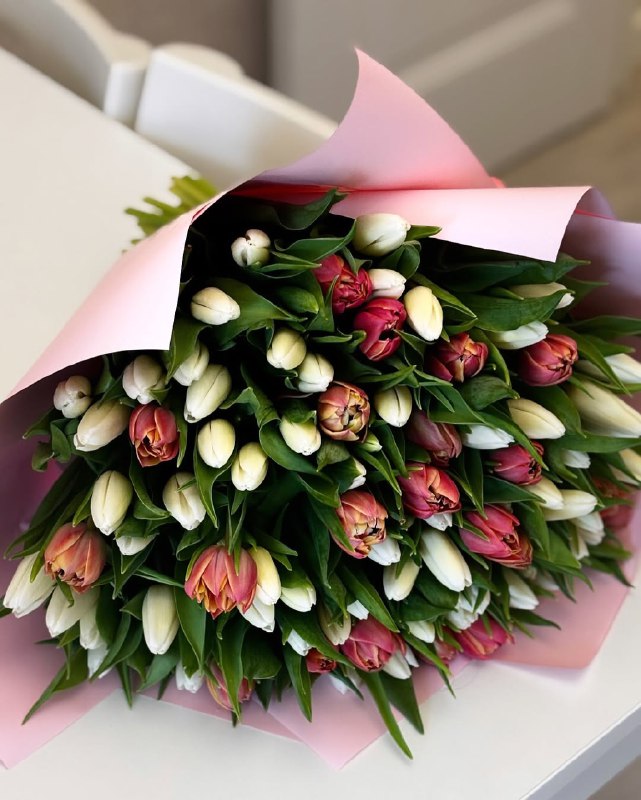 Tulips