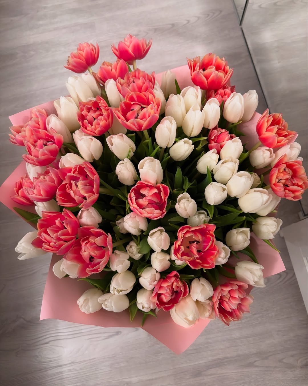 Tulips
