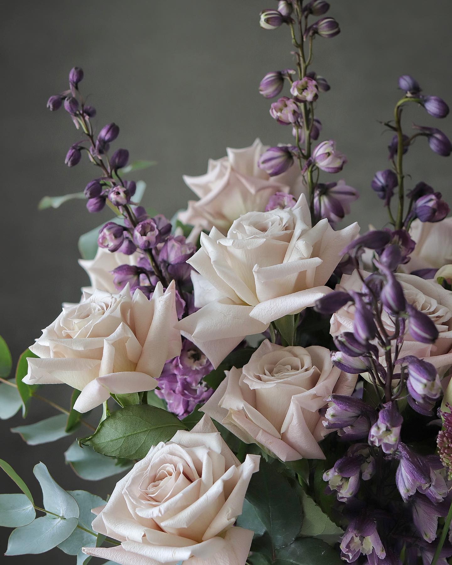 Violette