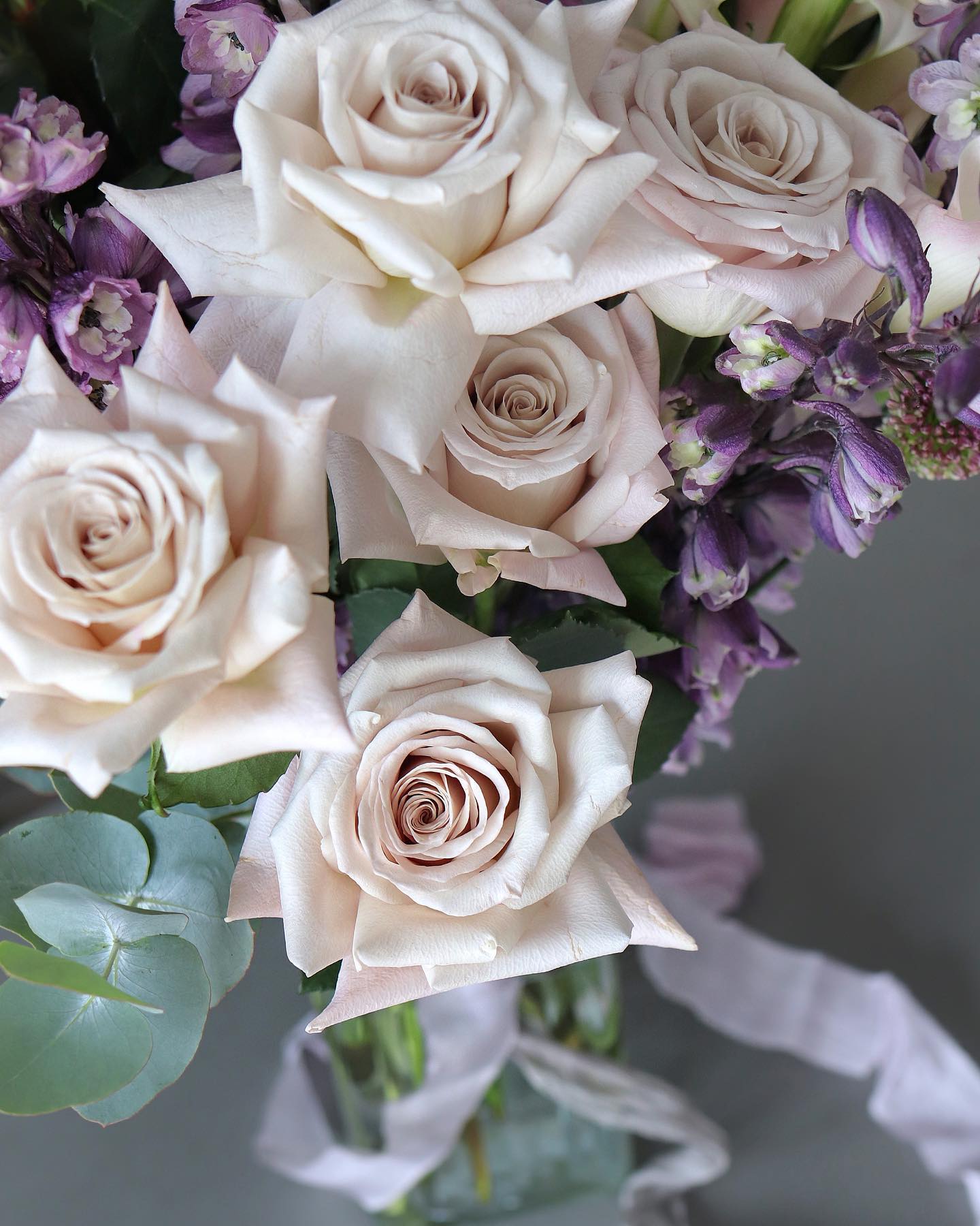 Violette
