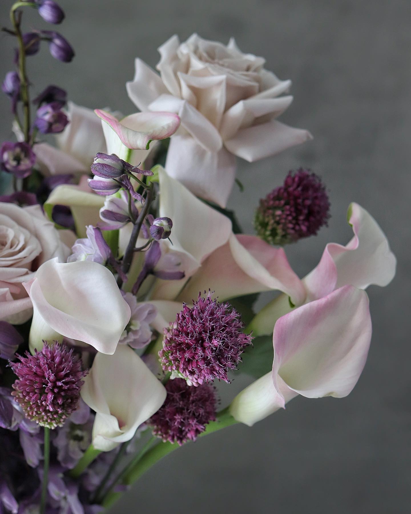 Violette