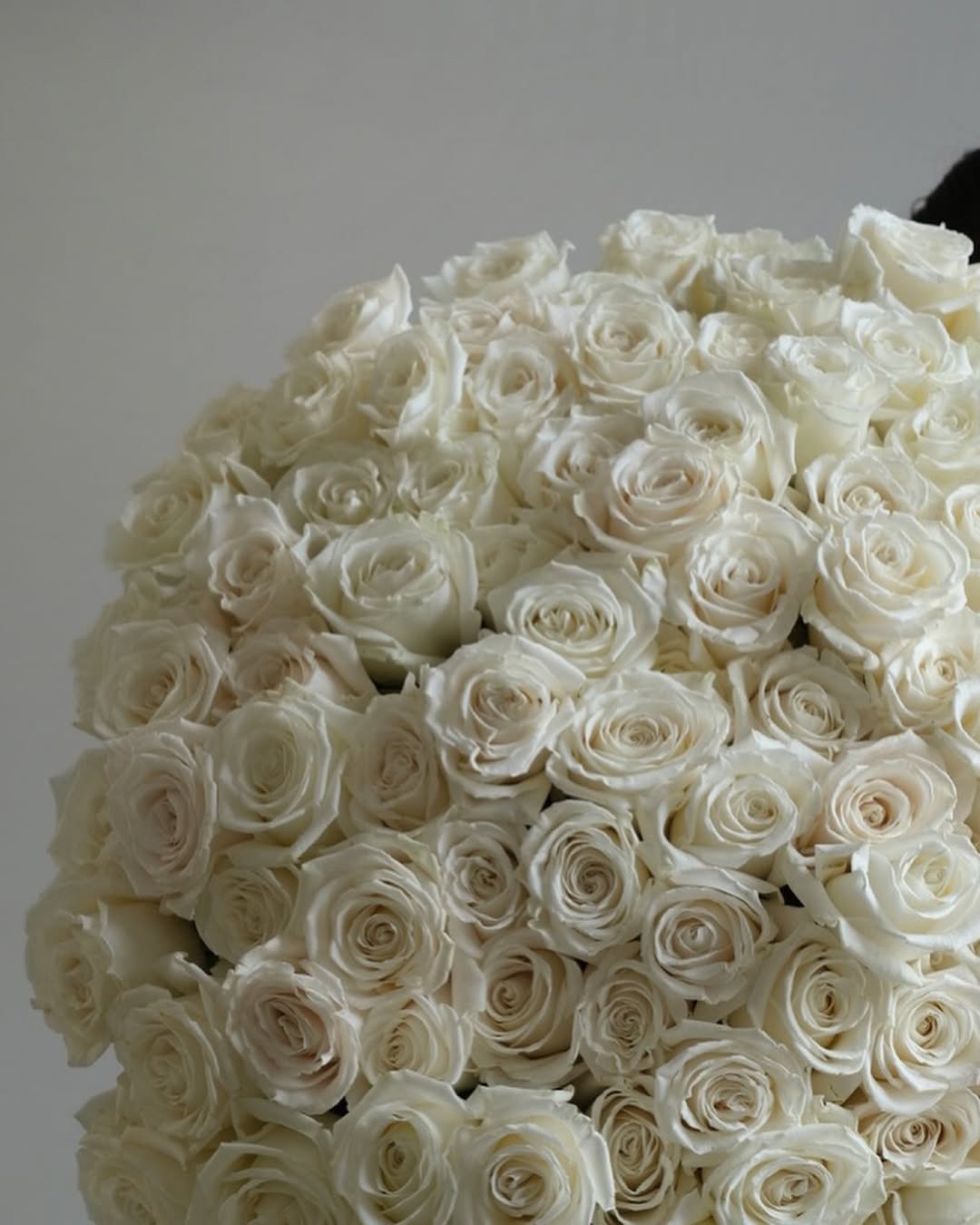 100 White Roses