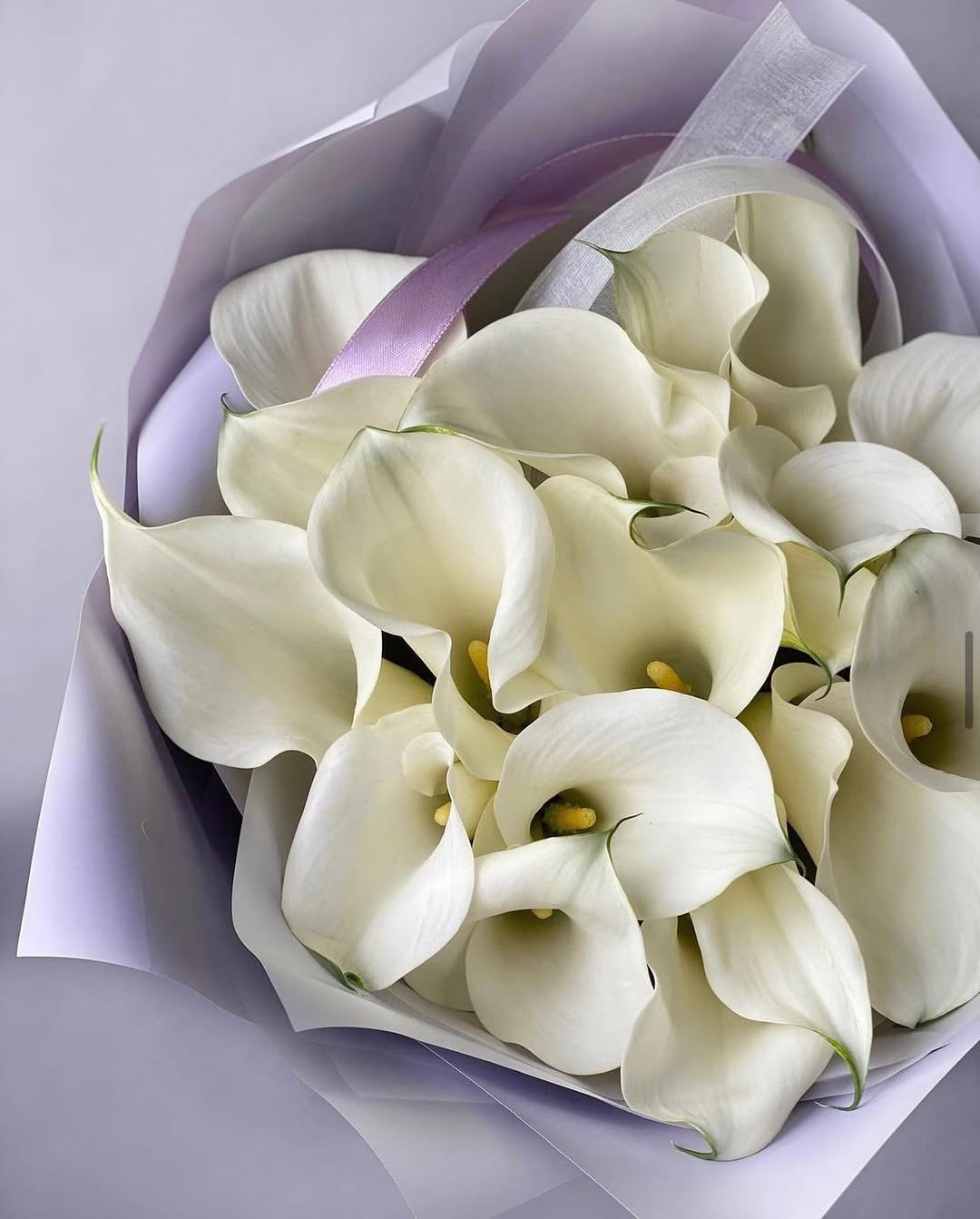 Calla Lilies