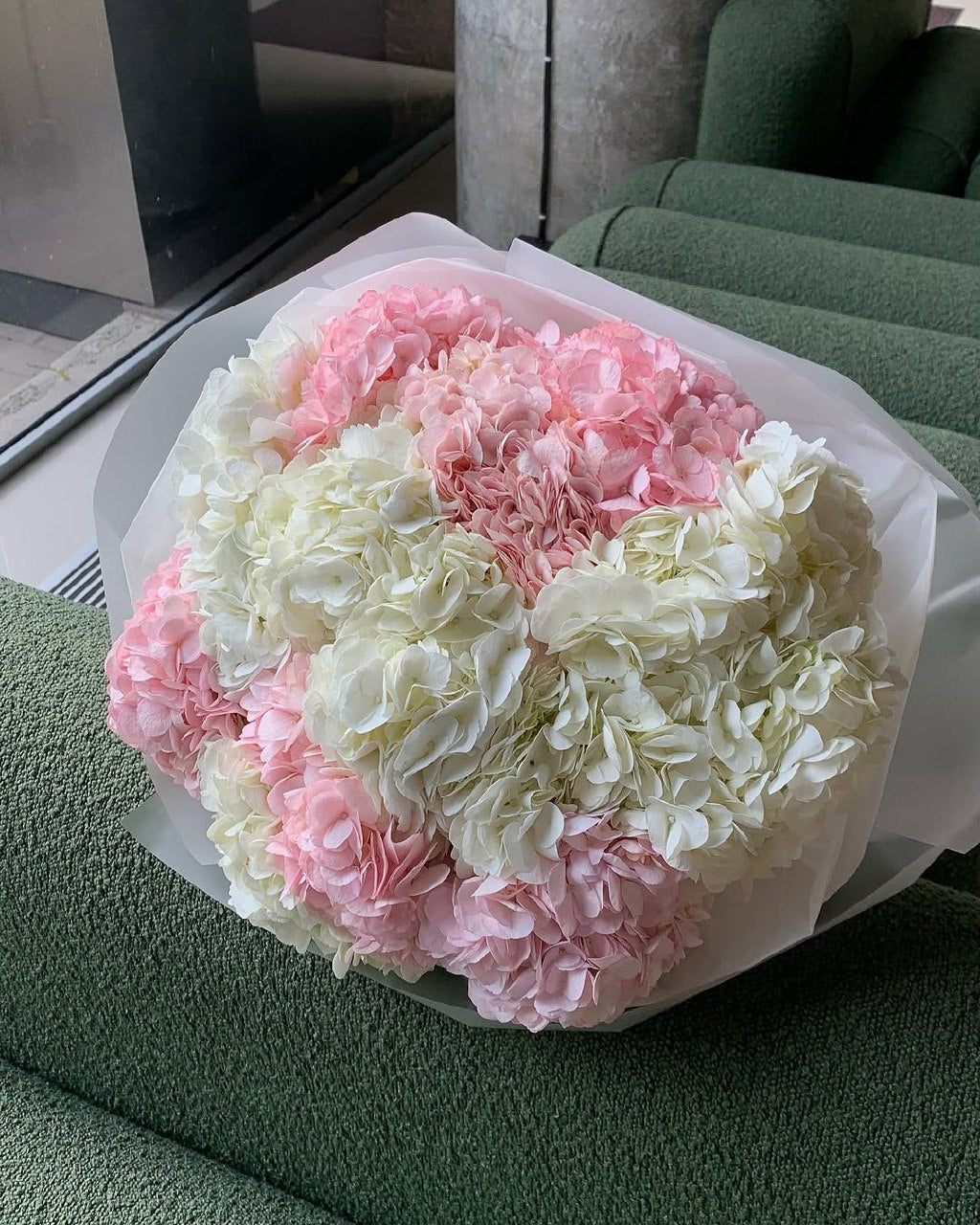 Hydrangeas