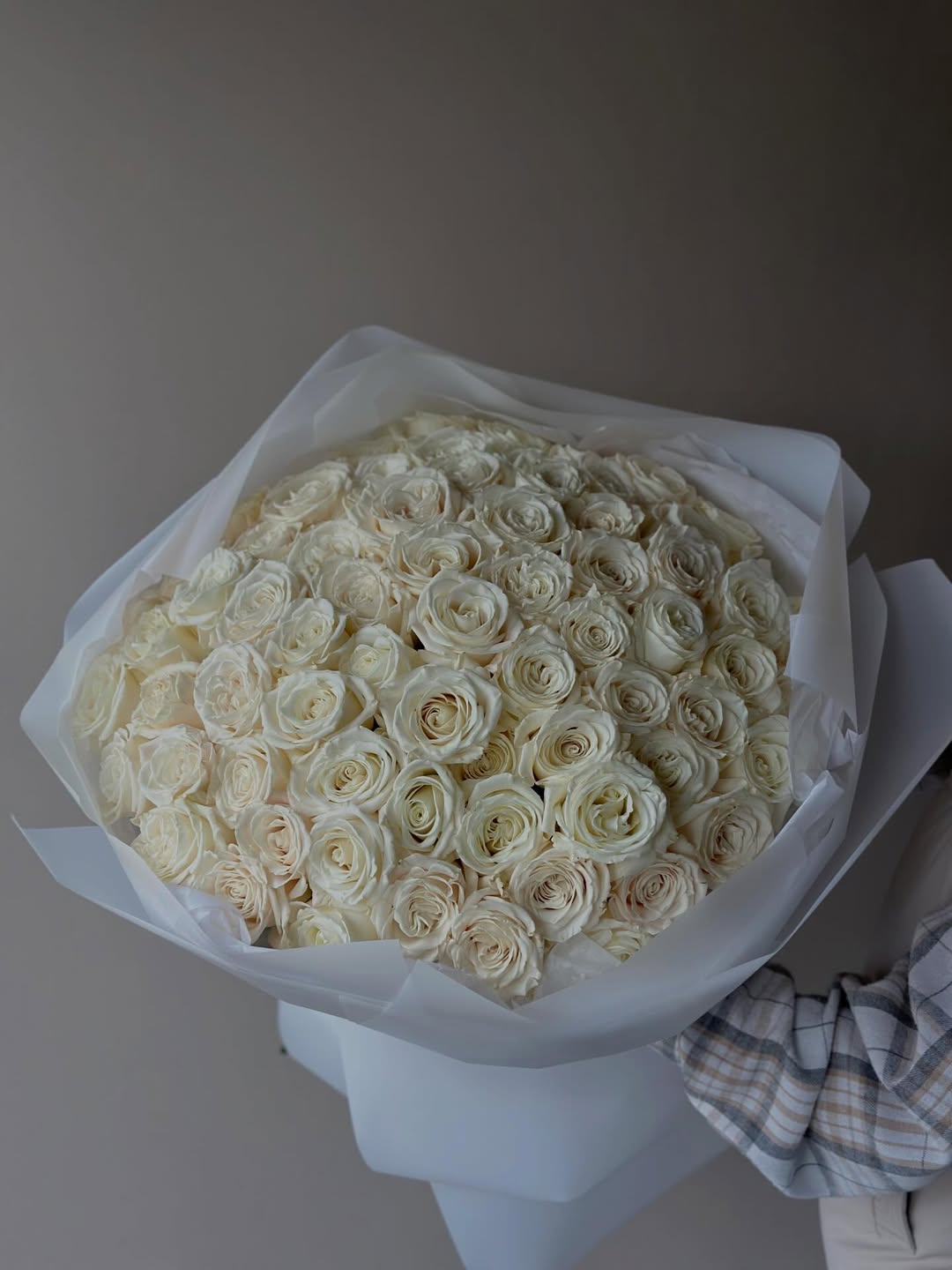 50 White Roses